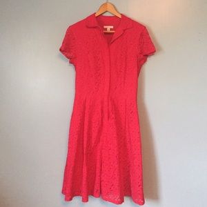 New York & Company Pink Lace Dress